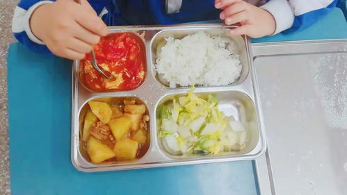 宝安小学校内午餐午休 解决家长接娃难题，餐饮管理获好评